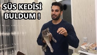 SOKAKTA SÜS KEDİSİ BULDUM! ( ÇOK TATLI )