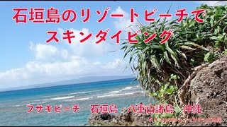 石垣島のリゾートビーチでスキンダイビング 石垣島 フサキビーチ ,Tai's Journey