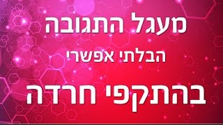 מעגל התגובה בהתקפי חרדה