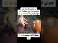 اوج خلاقیت ایرانی ها درضمن بی ادب هم خودتونید🤣🤣🤣🤣🤣🤣🤣