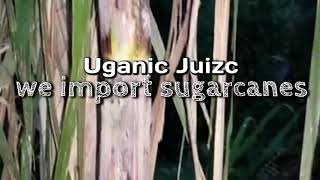 Uganic Juizc  the TuboBiz Distributor for Scandinavia