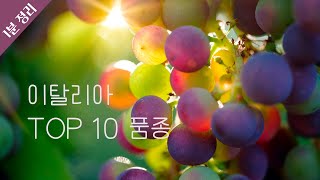 이탈리아 TOP 10 품종 | 와인 생산 지역 이야기 | 와인 기초 | 와인공부 | 1분 정리