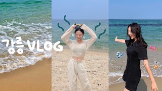 vlog. 나 강릉 사랑하네..🌊 1박2일 완벽코스,인생카페,장칼국수,오션뷰물회,바베큐파티,갬성숙소🏖