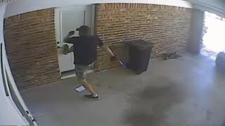 Gainesville burglary caught on video