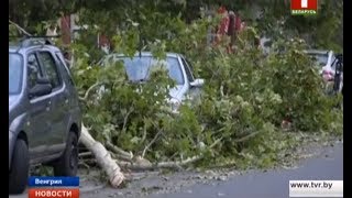 В Венгрии ликвидируют последствия мощного шторма