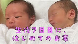 【お七夜】生後7日目のはじめてのお家