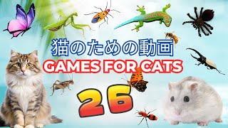 【猫用動画MIX 26】リス・ネズミ・チョウなど 3 時間 GAME FOR CATS 26 - SIMPLE - Mouse \u0026 Squirrel 3 hours