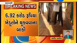 Aravalli: Farmers irked over non-payment of groundnut sold at MSP - Zee 24 Kalak