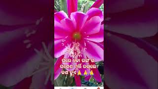 ଧଳା ଗଣେଶ ମୂର୍ତ୍ତି ରଖିଲେ କଣ ହୁଏ🙏🙏🙏#youtubeshort #viral #video #