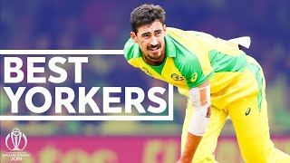 The Best Yorkers of the bowlers! | Unplayable Deliveries | big Yorkers un history#youtube