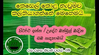 කෙසෙල් කොල වැඩි කාලයක් නැවුම්ව තියාගන්නෙ මෙහෙමයි|How to store banana leaves for long time