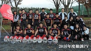 2016年度勧誘PV 日本大学松戸歯学部アメリカンフットボール部