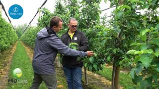 Szkolenie dla doradców Timac Agro i Procam w sadach państwa Głodowskich