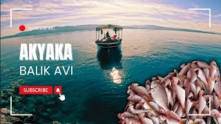 Akyaka / Mercan Avı /  #balıkavı