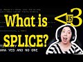 What is the SPLICE Array Method? | JavaScript in LESS-THAN 3 | JavaScript Beginner Series