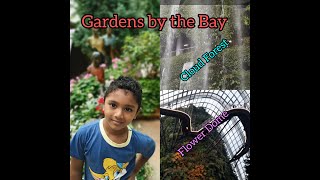 Gardens by the bay - Flower Dome I Cloud Forest -Pavi Nish