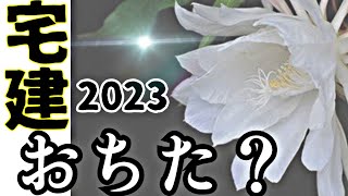 いま宅建士試験に落ちた者が部屋の隅で膝を抱えながら見る良い花の会〜令和5年の不合格たち