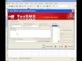 Send Group SMS From Excel File using Tezsms.com XLARator