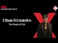 The Graph of Life | Ethan Xander Fernandes | TEDxAl Diyafah High School