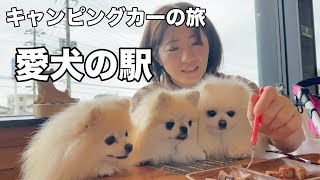 ⑤キャンピングカーで愛犬の駅に行ったらマジで凄すぎた！