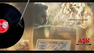 Tahir Uçar - Sen Delisin