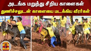 அடங்க மறுத்து சீறிய காளைகள் - துணிச்சலுடன் காளையை மடக்கிய வீரர்கள்