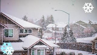 Seattle Snowpocalypse 2017