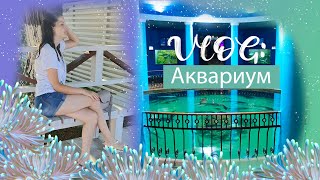 VLOG: Аквариум Севастополя