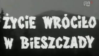 Życie wróciło w Bieszczady - film