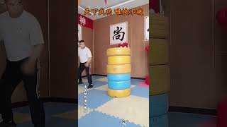 天下武功，唯快不破，太強了，驚呆了衆人 #kungfu