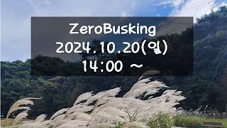 제로버스킹 241020 라이브방송(zerobusking Live streaming)