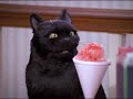 salem saberhagen no that s sabrina.