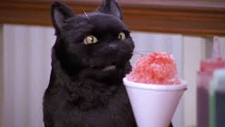 Salem Saberhagen, No that's Sabrina.