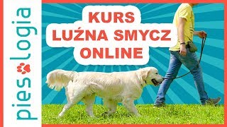 Kurs Luźna Smycz Online