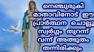 നെഞ്ചുരുകി മാതാവിനോട് ഒന്നു പ്രാർത്ഥിച്ചു നോക്കൂ സ്വർഗ്ഗം തുറന്ന് വന്ന് അത്ഭുതം തന്നിരിക്കും 💯