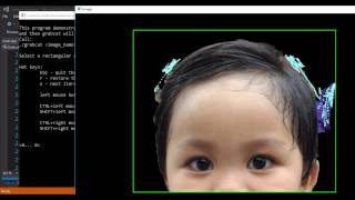 [OpenCV in Windows] Grabcut demo