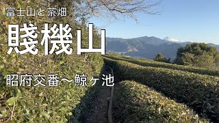 【静岡の山歩き】賤機山(昭府交番〜鯨ヶ池)