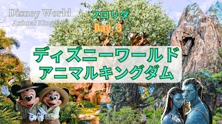 【フロリダディズニーワールドday 3】アニマルキングダムでの一日| A Day in Animal Kingdom in Disney World [Avatar]