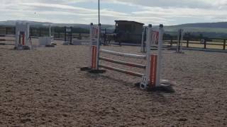 Fergal and Sam 128 cracking gelding