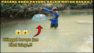 Luarbiasa,‼️ pasang bubu payung di hutan bakau,gak nyangka isinya ini