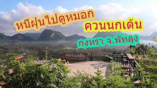 บันทึกนักหนีเที่ยว | พาหนีฝุ่น ไปชมทะเลหมอก ควนนกเต้น จ.พัทลุง