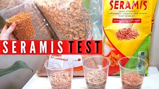 Seramis Test | Seramis size, Danish Moler Clay alternatives | Water absorbancy vs LECA, Wicking, pH