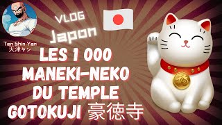 VLOG Japon - Tokyo - Les 1 000 Maneki-neko du temple Gotokuji