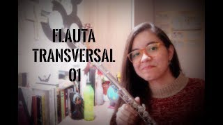 FLAUTA TRANSVERSAL - COMO TOCAR (EMBOCADURA) - 01