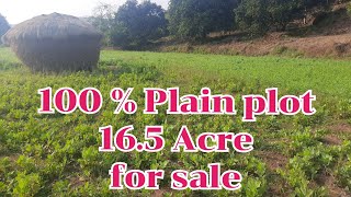 16.5 Acre plainland for sale|Tamhane|#landforsale #propertyinkonkan#farmlandforsale #investmentideas