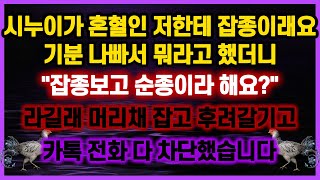 [역대급 사이다 사연] 시누이가 혼혈인 저한테 잡종이래요 기분 나빠서 뭐라고 했더니\