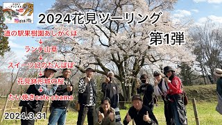 [2024花見ツーリング第1弾3/31]道の駅果樹園あしがくぼ〜ランチ喫茶山草〜スイーツ幻のたんぽぽ〜鉢形城の桜〜たい焼きcafe chama