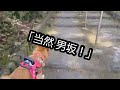 【犬連れ登山！】岩本山編。梅と富士山の人気撮影スポット！