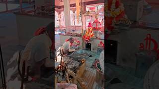 🙏Jai Baba bharatri 🙏Navratri Bhakti Song 2023 | Devi Mata ke Bhajan | Durga Maa Bollywood Songs,