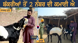 ਬੱਕਰੀਆਂ ਤੋਂ 2 ਨੰਬਰ ਦੀ ਕਮਾਈ ਐ l Dharat De Jaaye | EP 71 l Balwinder Singh l Sarbjeet S Sidhu